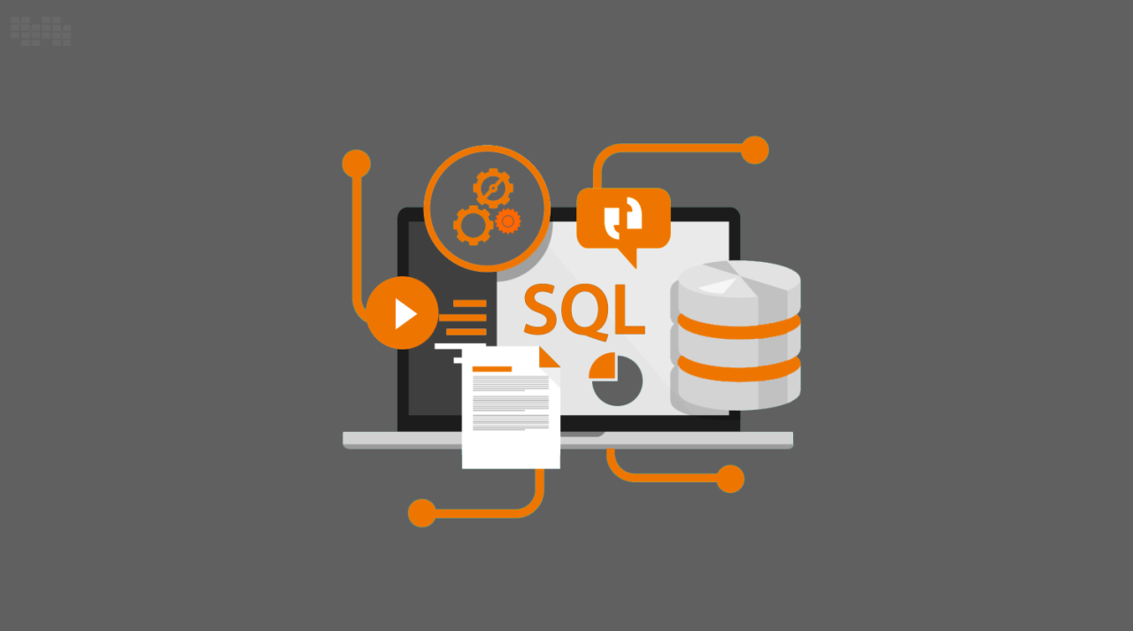SQL database management career